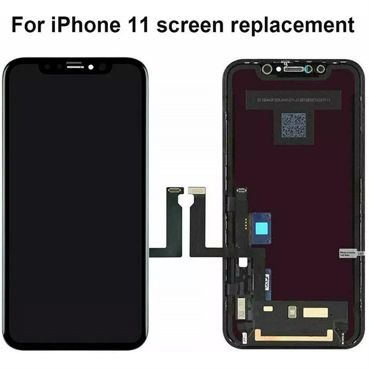 iPhone 11 LCD Screen